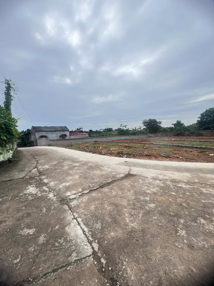 Đất nền Chu Điện, Lục Nam 200m² giá 600 triệu - Cơ hội đầu tư tuyệt vời!