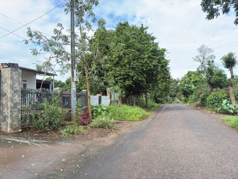 Đất nền mặt tiền đường Nguyễn Thị Định, Buôn Ma Thuột 600m² giá 2.39 tỷ - Đầu tư sinh lời cao!