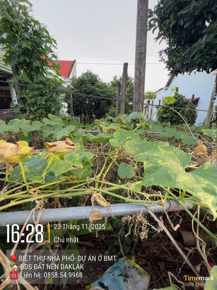 Đất nền đường Nguyễn Gia Thiều, Tân An 150m² giá 2.85 tỷ - Vị trí trung tâm tiện ích