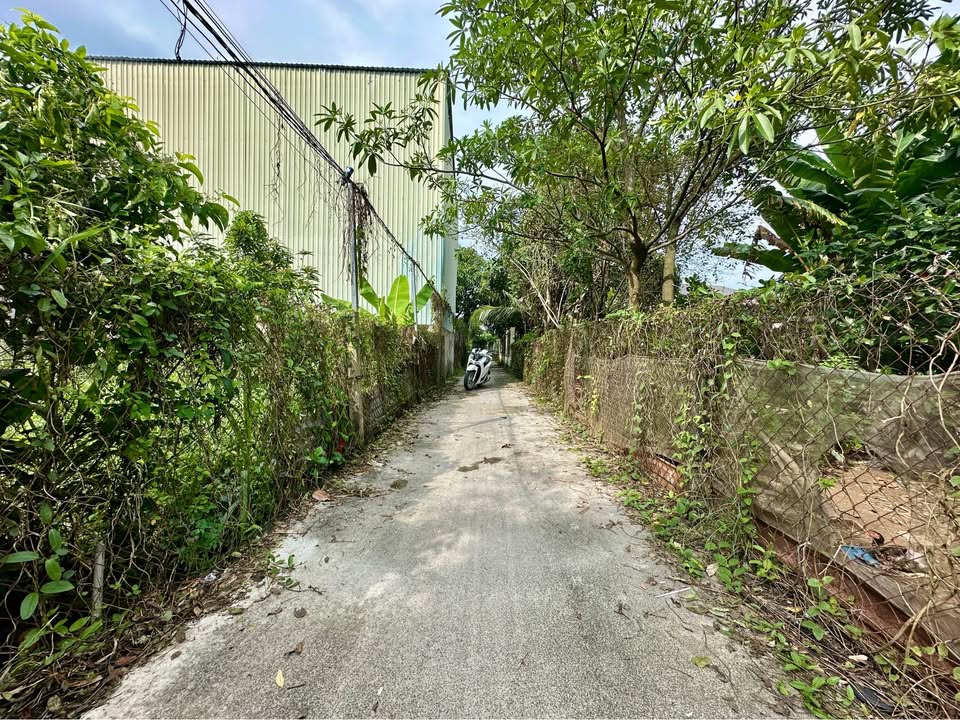 Bán đất phường 5 Mỹ Tho 202m² giá 1 tỷ - Khu dân cư hiện hữu thuận tiện!