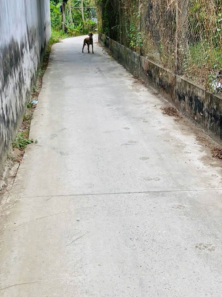 Đất nền An Hiệp Châu Thành 173m² giá 450 triệu - Đầu tư sinh lời nhanh!