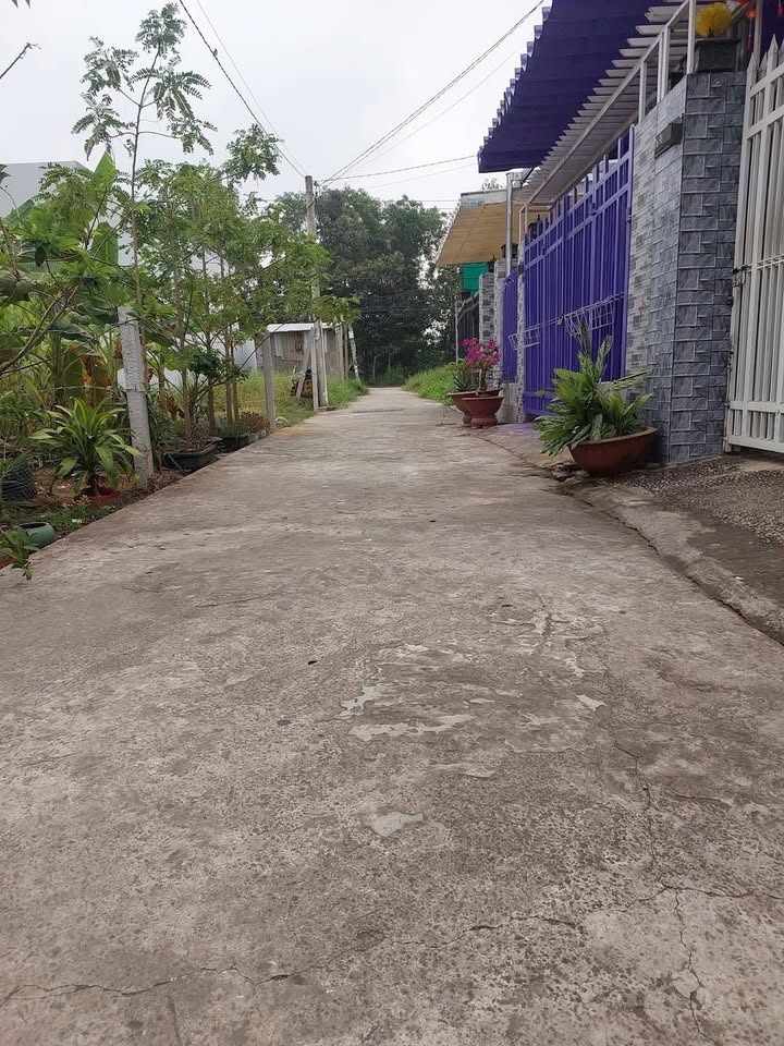 Đất nền thổ cư Phú Nhuận Bến Tre 176m² giá 1.1 tỷ - Đầu tư sinh lời ngay!