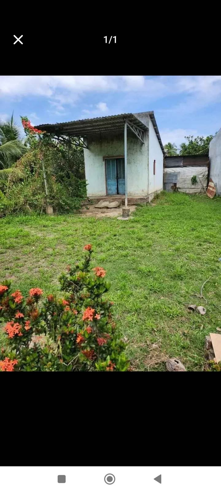 Đất thổ cư Phong Nẫm Bến Tre 342m² giá chỉ 550 triệu - Sở hữu ngay hôm nay!