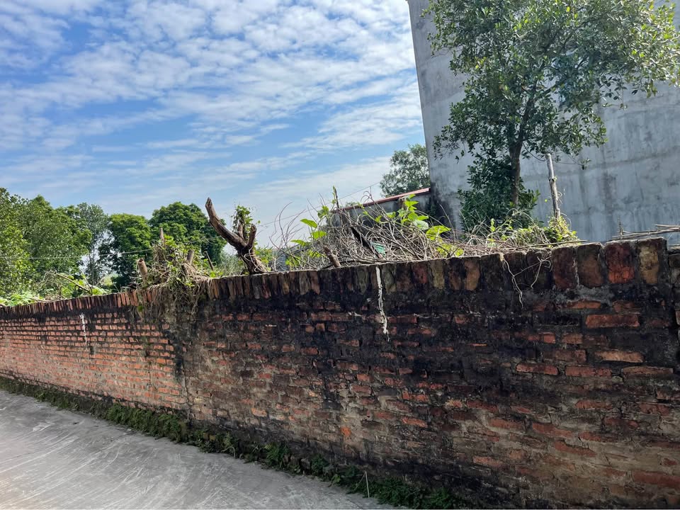 Đất nền 75,5m² tại Đồng Xá, Đại Đồng giá 1 tỷ - Sở hữu ngay vị trí đắc địa!