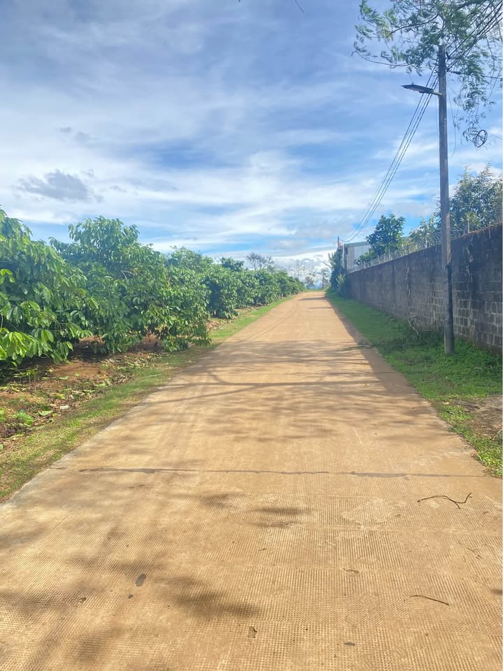 Đất hẻm Lý Chính Thắng, Pleiku 680m² giá 800 triệu - Sổ đỏ chính chủ ngay!