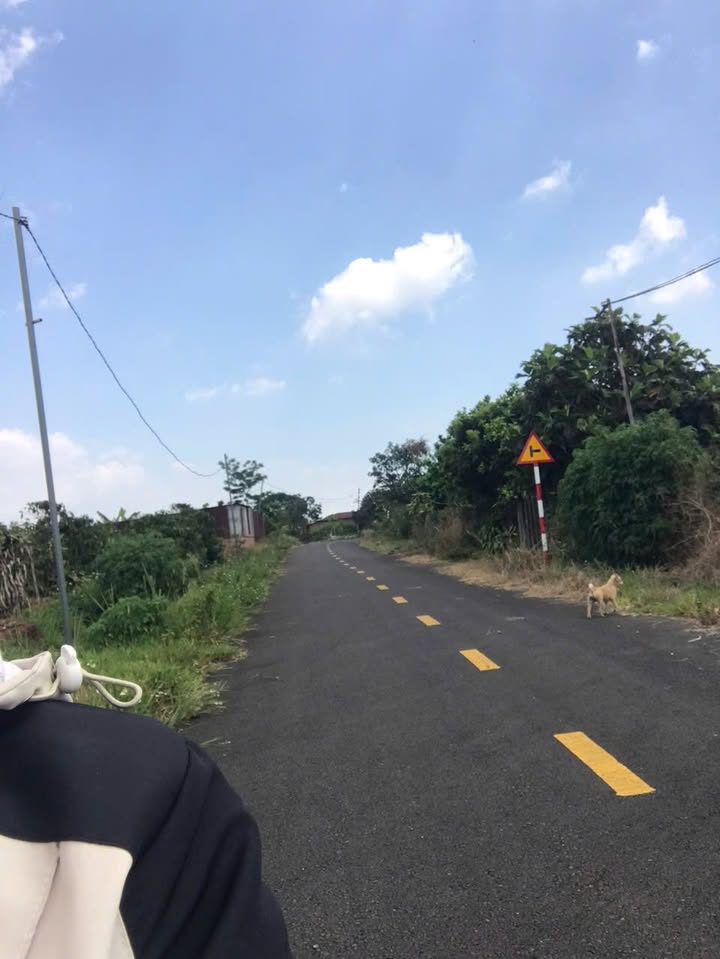 Bán gấp FrontHouse mặt tiền Trần Quý Cáp, Bảo Lộc, 390m² chỉ 2 tỷ!