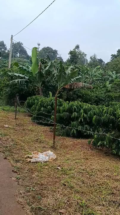 Đất nền 1,2 Sào đường Âu Cơ, xã Tân Lạc, giá 1,1 tỷ - Sổ đỏ chính chủ!