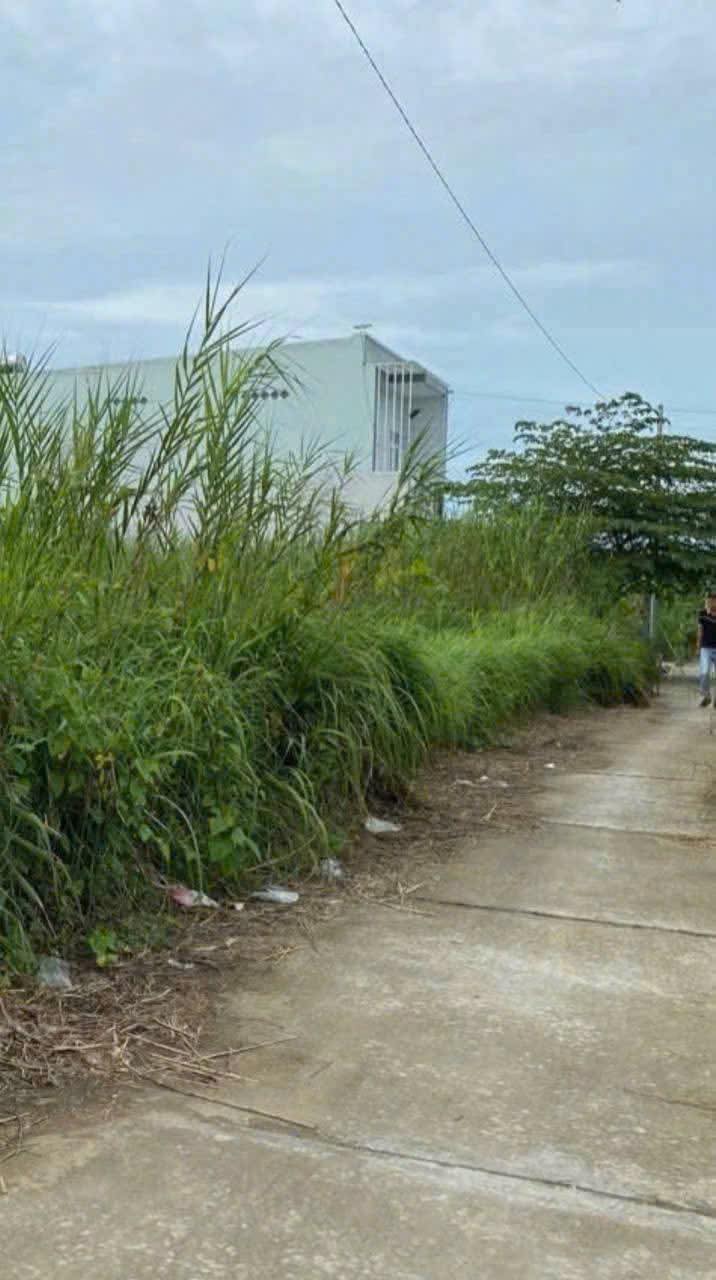 Đất nền Mỹ Hòa Long Xuyên 84m² giá chỉ 820 triệu - Sổ đỏ sang tên ngay!