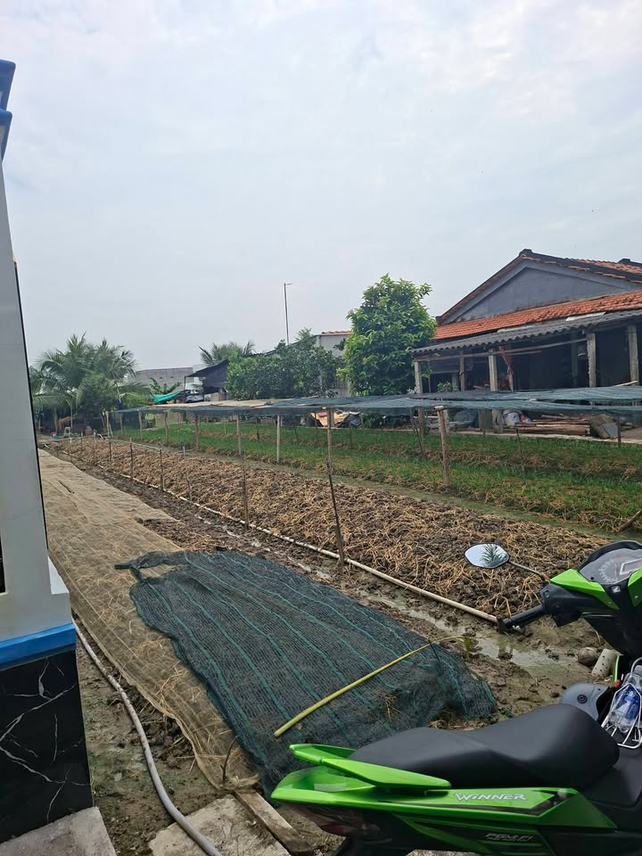 Đất thổ cư Mỹ Lộc, Cần Giuộc 139m² giá 1.15 tỷ - Đầu tư sinh lời ngay!