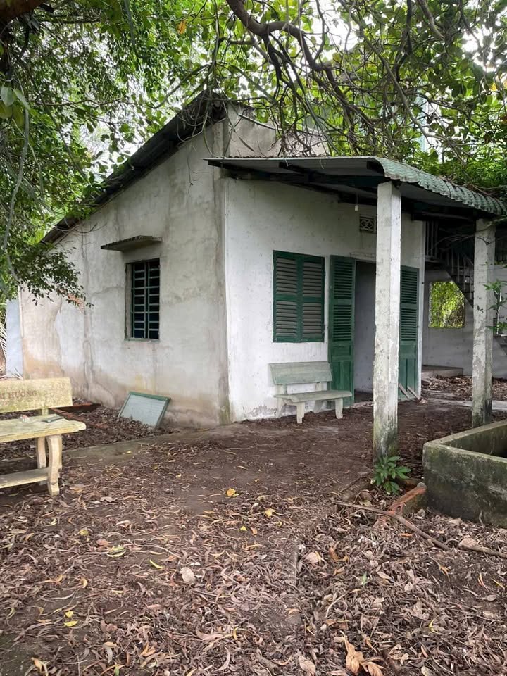 Đất lúa 1000m² tại Ấp Lộc Trung, Long An - Giá chỉ 1.55 tỷ, chính chủ!