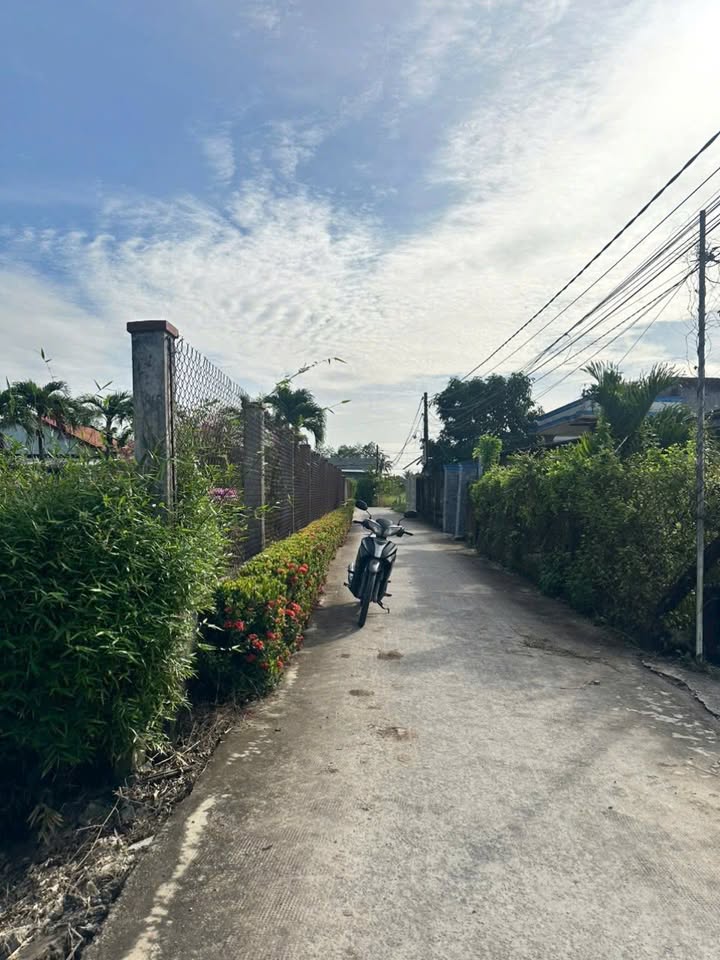 Đất mặt tiền đường Đan 878m² tại Nhựt Chánh, Bến Lức - Giá 1.5 tỷ, thương lượng!