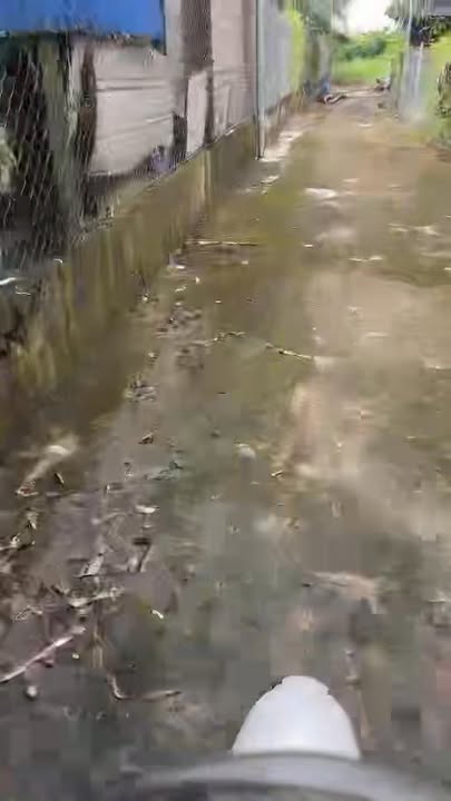 Đất thổ cư ấp Lộc Trung, Long An 124.6m² giá 800 triệu - Sổ hồng riêng, đường xe ba gác