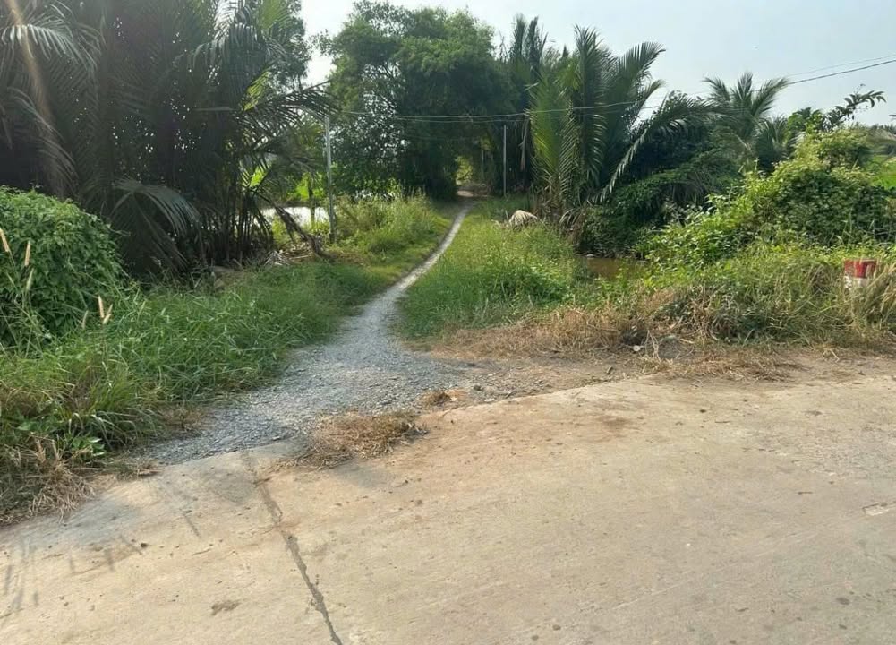 Đất lúa Tân Bửu Bến Lức 3395m² giá 1.25 tỷ - Đầu tư sinh lời ngay!