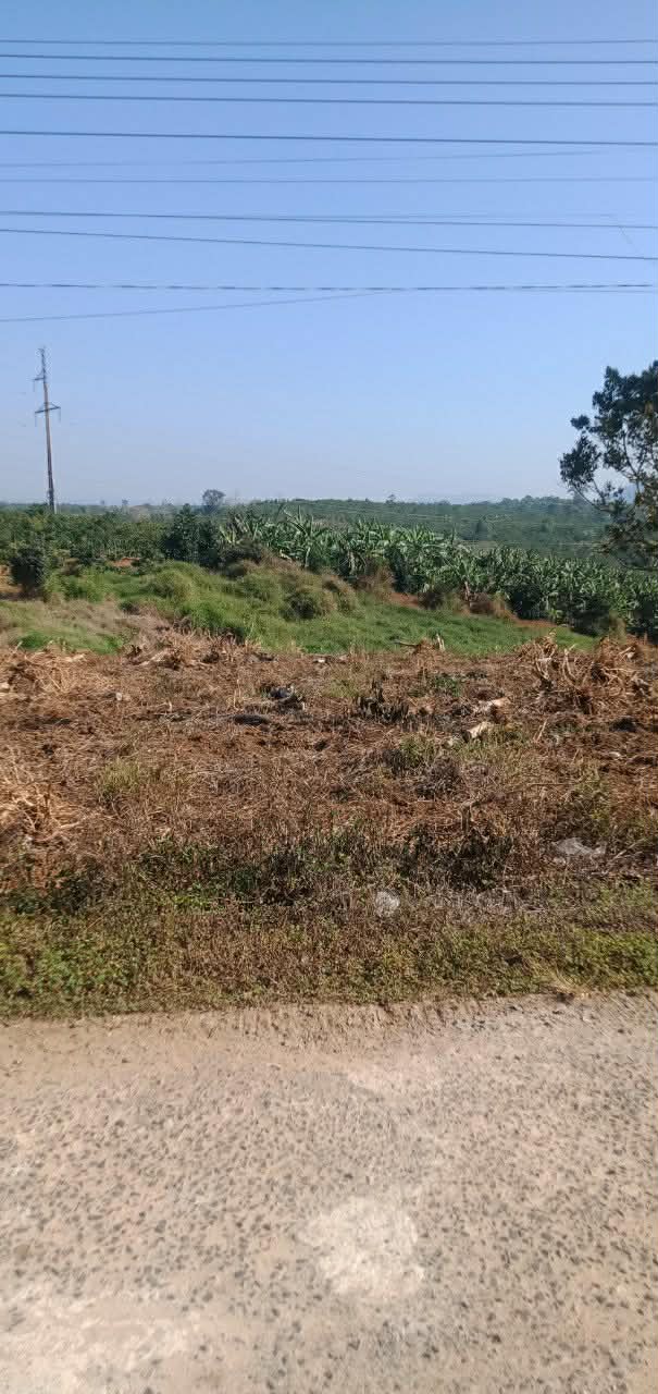 Đất nền Đinh Trang Hòa Di Linh 200m² giá chỉ 700 triệu - Cơ hội đầu tư lý tưởng!