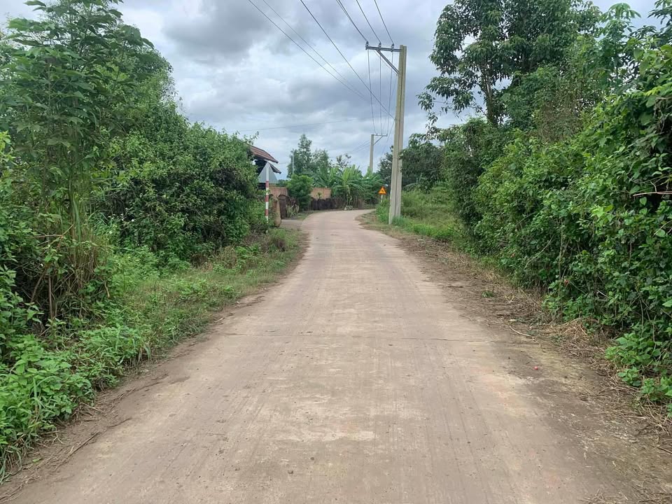 Đất nền Phú Hòa, Định Quán, Đồng Nai 2000m² giá 1.6 tỷ - Sổ riêng chính chủ!