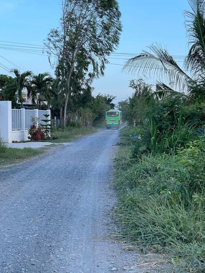 Đất nền Ấp Hộ, xã Tân Điền, 2912m² giá chỉ 2.1 tỷ - Đầu tư sinh lời ngay!