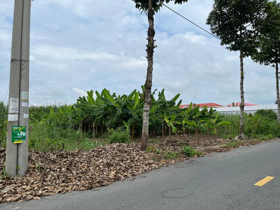 Đất nền góc 2 mặt tiền đường Hai Bà Trưng, Lấp Vò, 234m² chỉ 3.14 tỷ - Đầu tư sinh lời ngay!