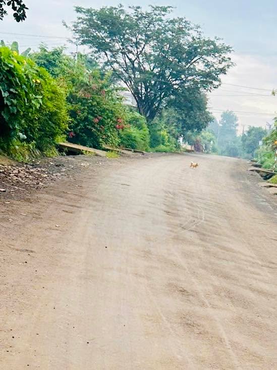 FrontHouse mặt tiền Phan Huy Chú 294m² giá 1.08 tỷ - Thương lượng linh hoạt!