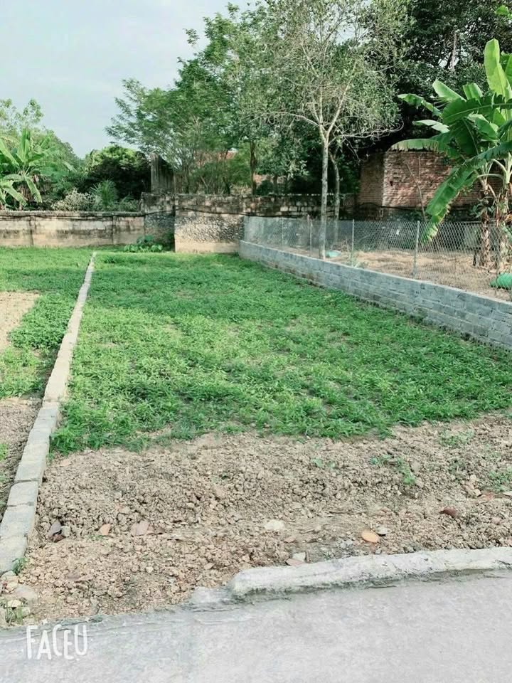 Đất thổ cư 114m² tại thôn 1, xã Phù Ninh, giá chỉ 600 triệu - Đầu tư sinh lời ngay!