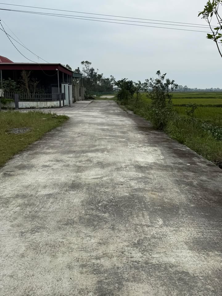 Đất thổ cư Thạch Thắng 180m² giá 1 tỷ - Đường bê tông 7m thoáng đãng!