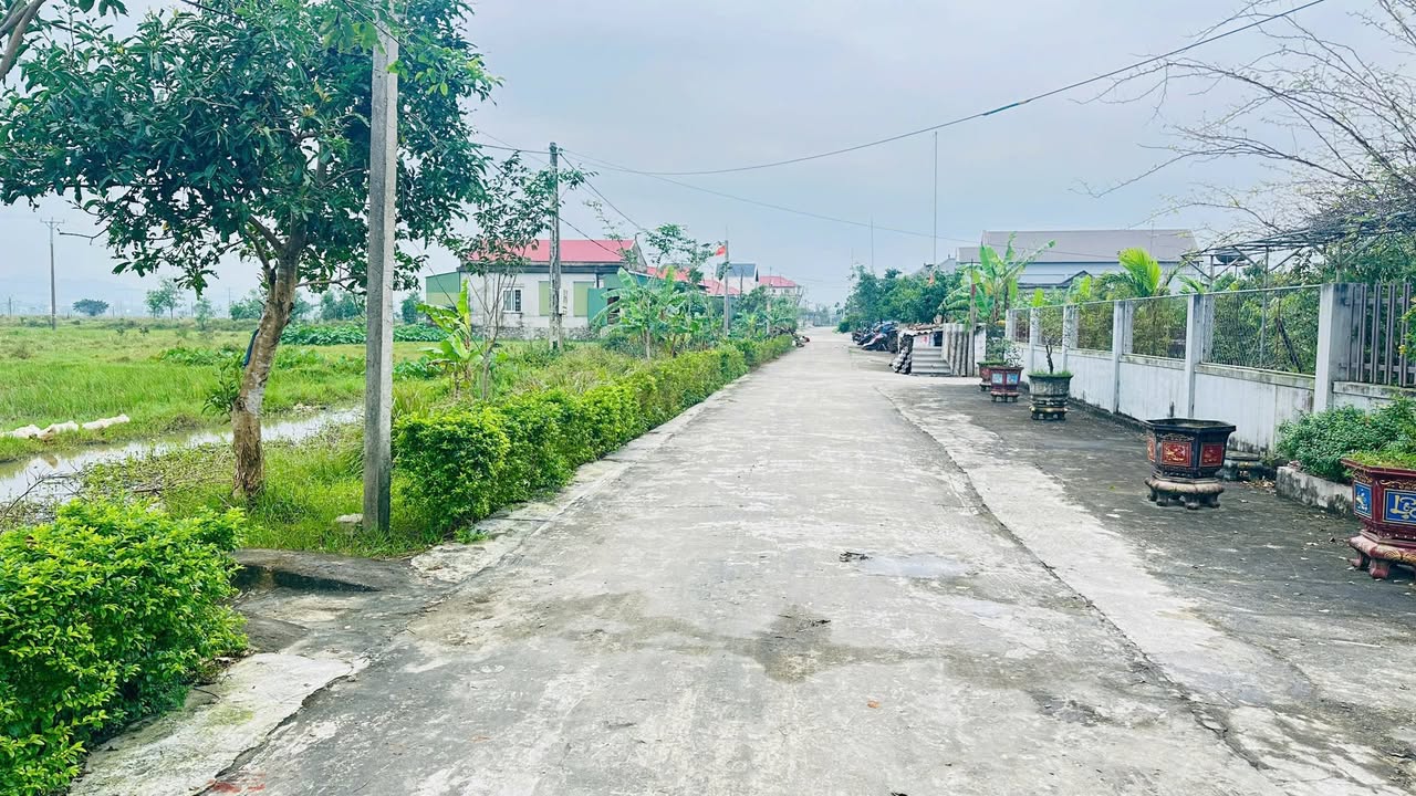 Đất Cẩm Thăng - 150m² giá 1 tỷ - Cơ hội đầu tư hiếm có!