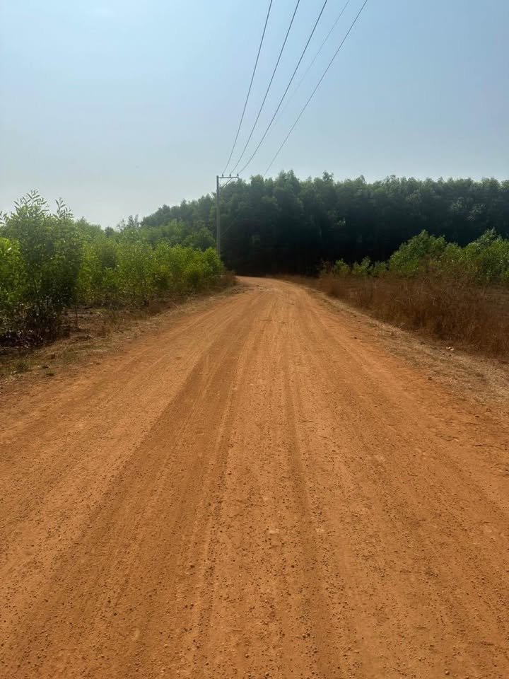 Đất nền xã Xuân Trường, Xuân Lộc, Đồng Nai 8800m² - Cơ hội đầu tư hấp dẫn chỉ 1.7 tỷ!