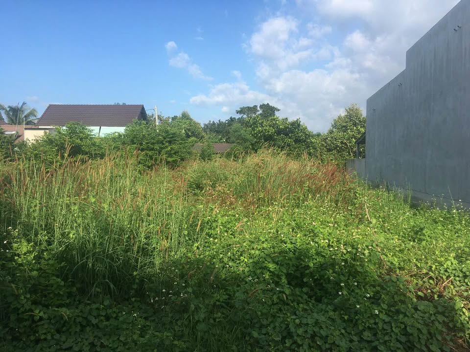 Đất thổ cư xã Xuân Thọ, Xuân Lộc 160m² giá chỉ 800 triệu - Đường bê tông thuận tiện!