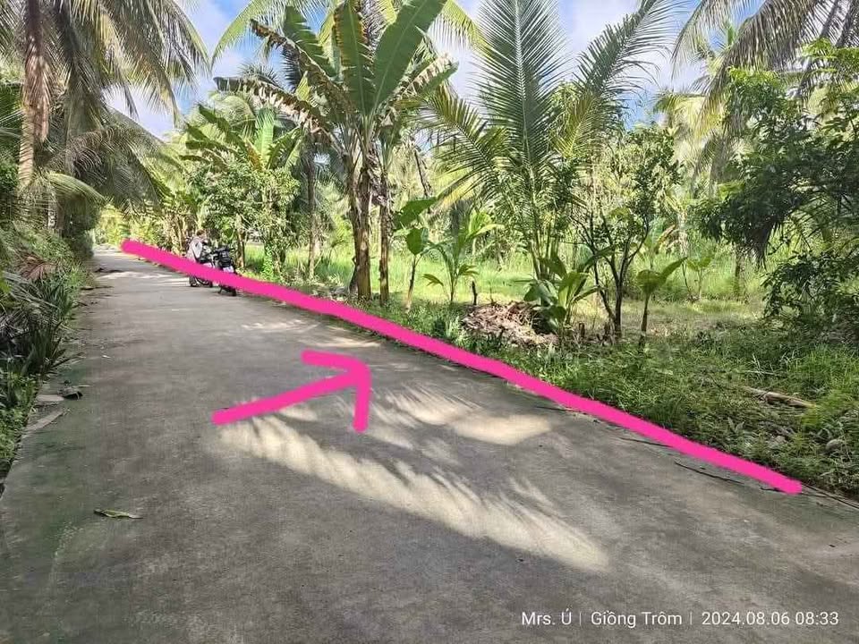 Đất vườn Phước Long 4800m² giá 3.2 tỷ - Cơ hội đầu tư hiếm có!