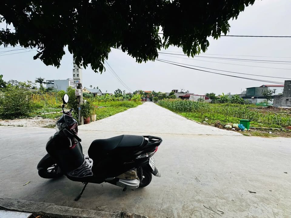 Đất nền 90m² tại Trường Sơn, An Lão - Giá chỉ 1.3 tỷ, siêu hiếm!