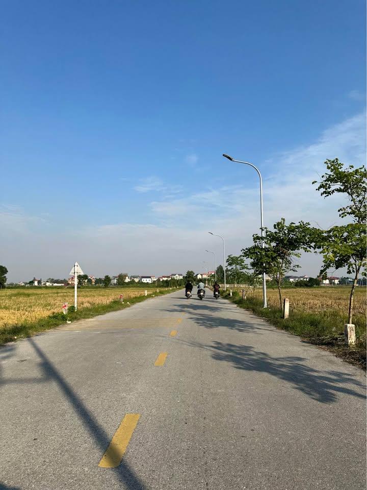 Đất nền Mão Điền, Thuận Thành, Bắc Ninh 98m² giá 2.6 tỷ - Vị trí vàng cho đầu tư!