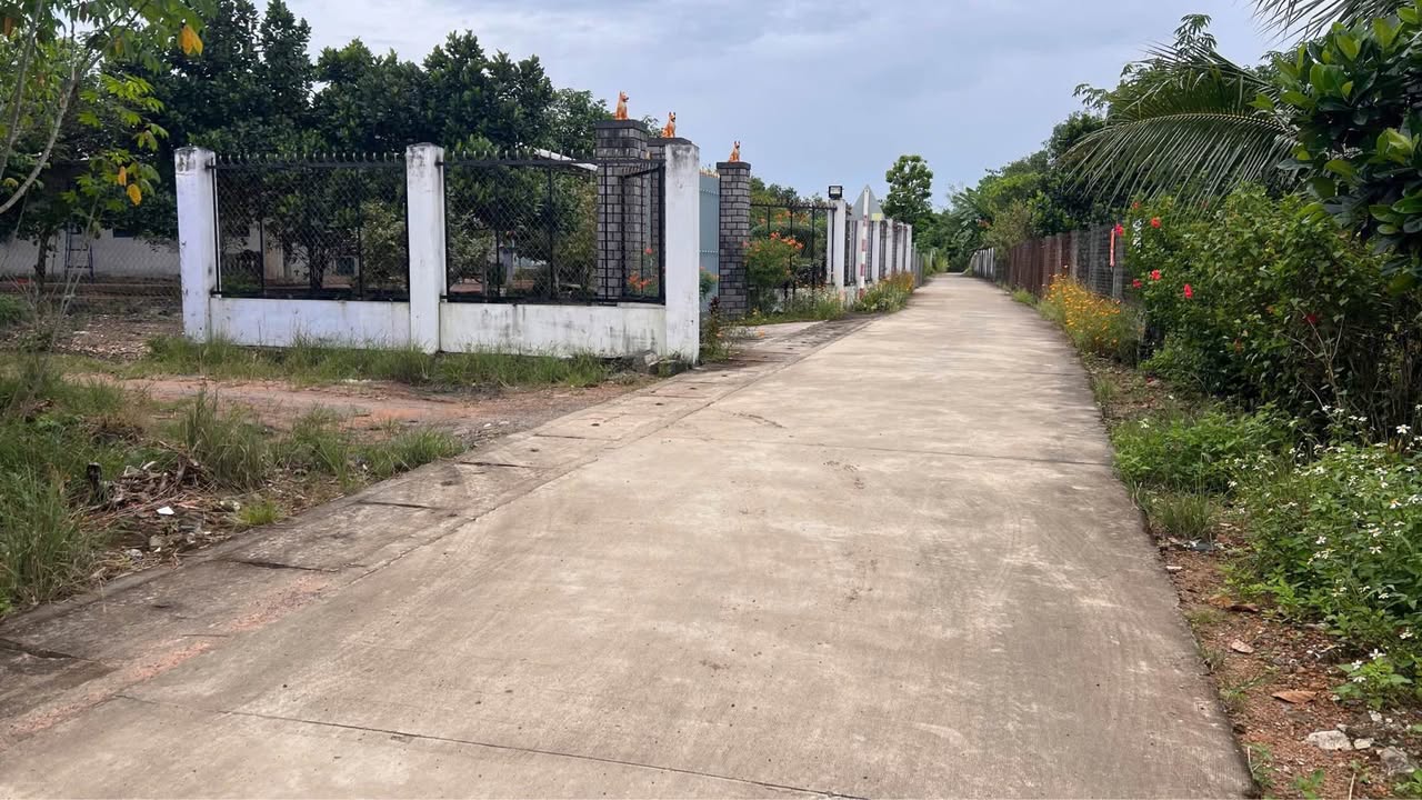 Đất nền Phú Hòa, Định Quán 106m² giá 420 triệu - Sổ hồng chính chủ, thương lượng nhẹ!