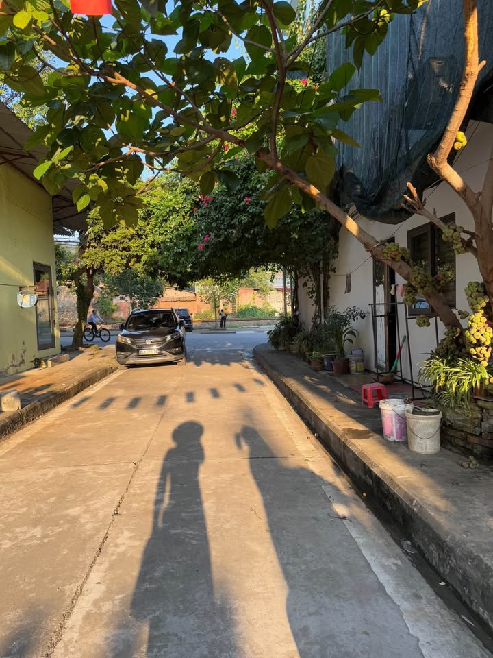 Nhà cấp 4 đường Cao Thắng Lào Cai 120m² giá 2 tỷ - Sẵn sàng vào ở!