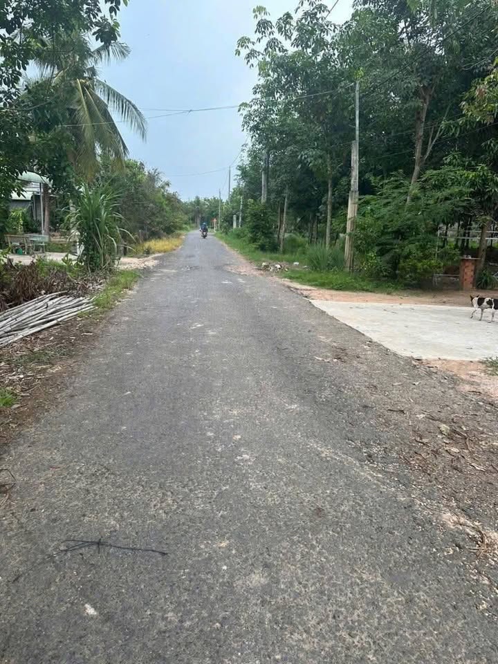 Đất thổ cư Tân Biên Tây Ninh 190m² - Giá chỉ 190 triệu, đường thông tứ hướng!