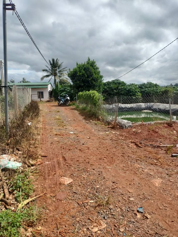 Đất nền Tân Hội Đức Trọng 58,000m² giá 3 tỷ - Cơ hội đầu tư tuyệt vời!