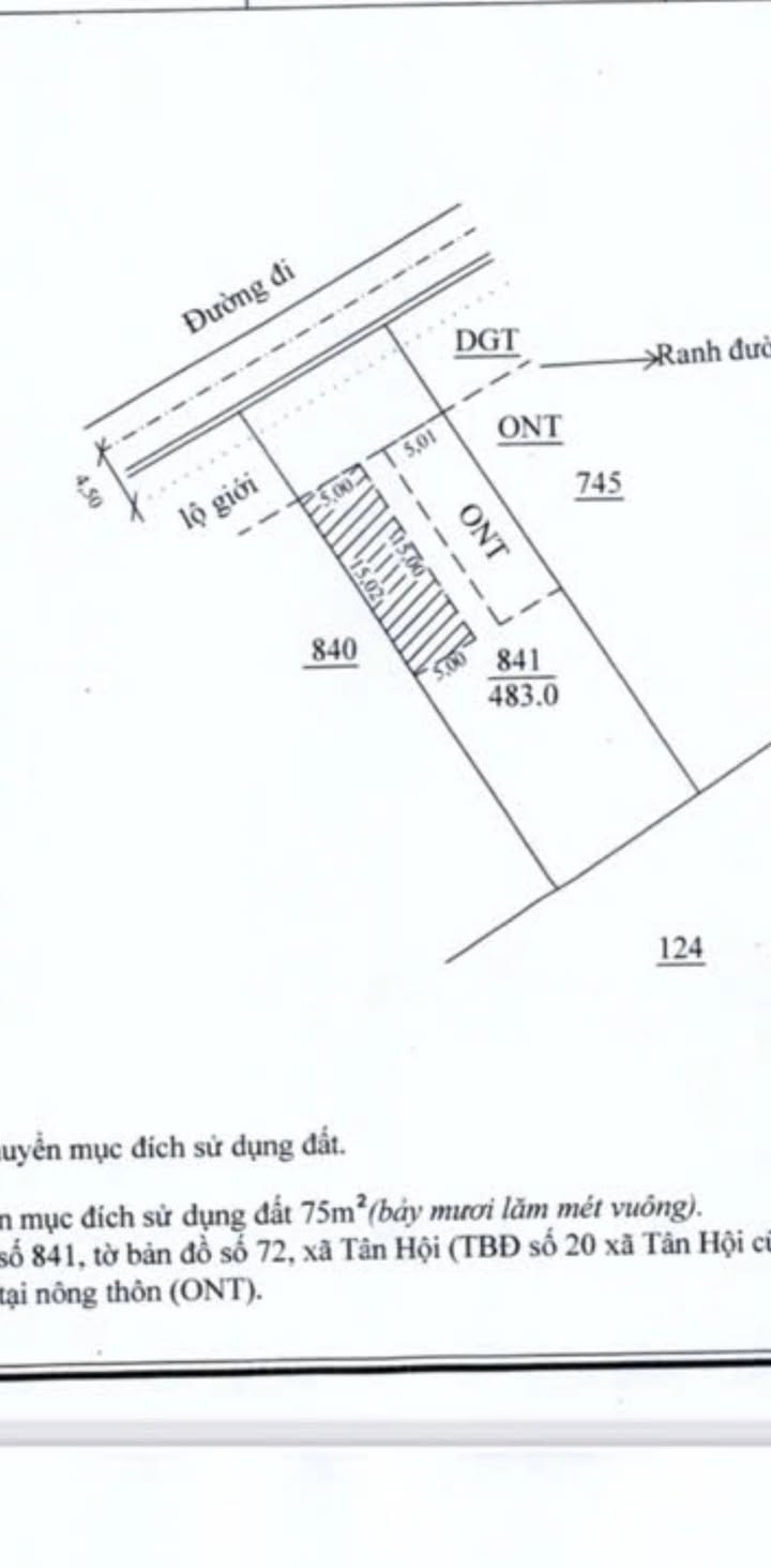 Đất nền Tân Hội, Đức Trọng 240m² chỉ 750 triệu - Đầu tư sinh lời ngay!
