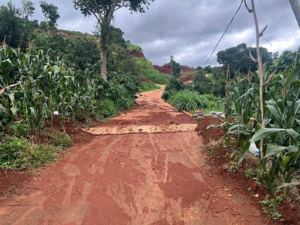 Đất vườn Lâm Hà 1550m² giá 1.5 tỷ - Đầu tư sinh lời tại Nam Ban!