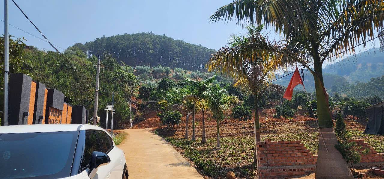 Đất thổ cư Mê Linh Lâm Hà 260m² giá chỉ 999 triệu - Cơ hội đầu tư tốt!