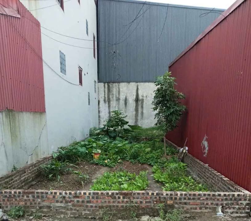 Đất nền Kiêu Kỵ - Gia Lâm 69m² giá chỉ 4 tỷ - Ô tô đỗ cửa, đầu tư sinh lời!