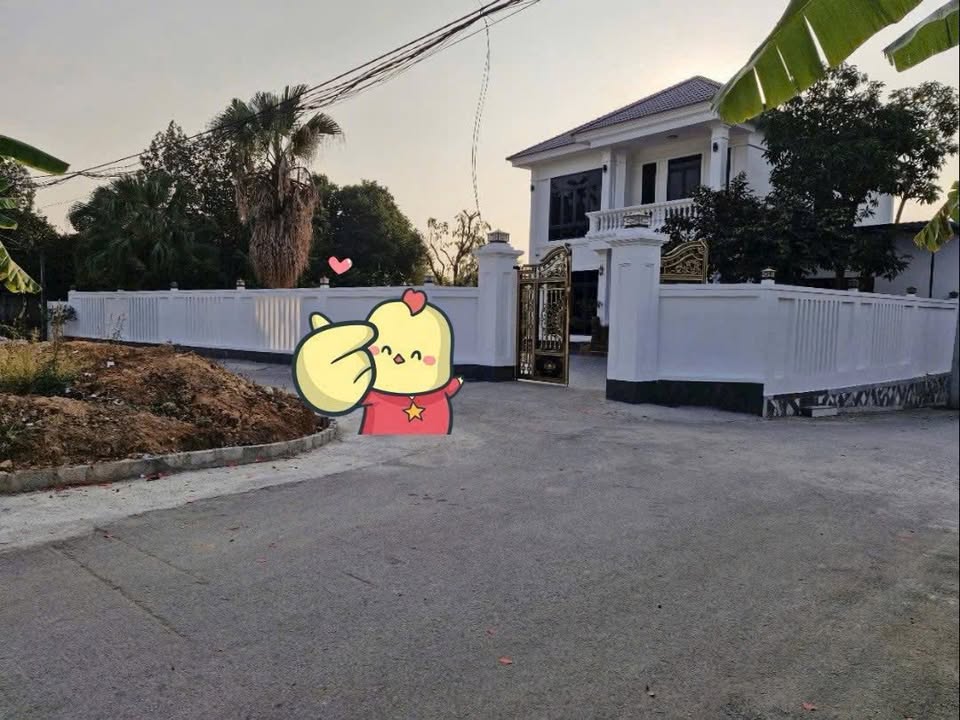 Đất nền đẹp tại Thôn Dội, Đạo Tú, Tam Dương - Giá từ 1,2 tỷ - Đầu tư sinh lời!