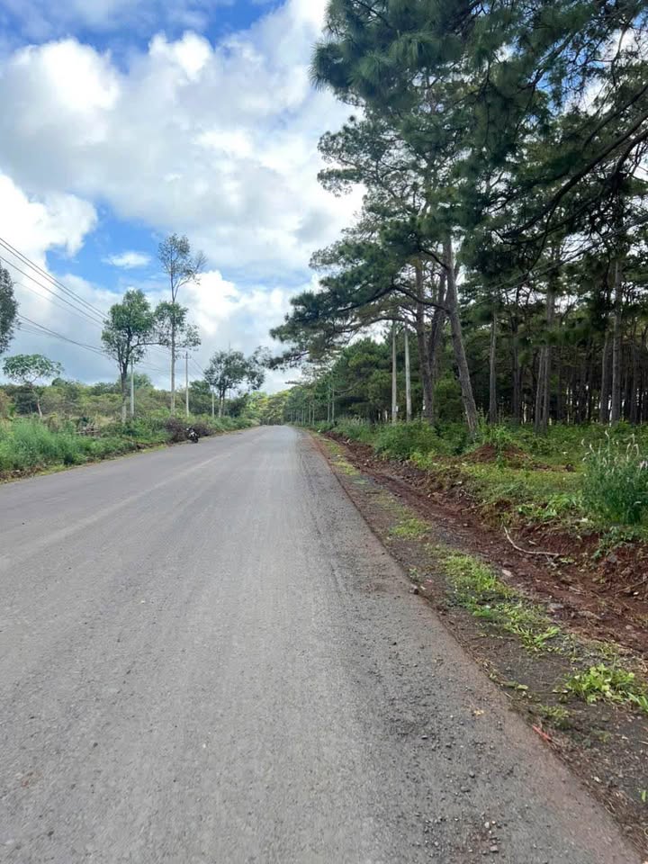 Đất nền mặt tiền đường 19/5, Buôn Ma Thuột 1000m² giá 2,55 tỷ - Pháp lý rõ ràng, đầu tư sinh lời!