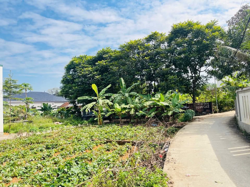 Đất nền khu 5 Thanh Đình 70,5m² giá 8xx triệu - 2 mặt tiền trước sau