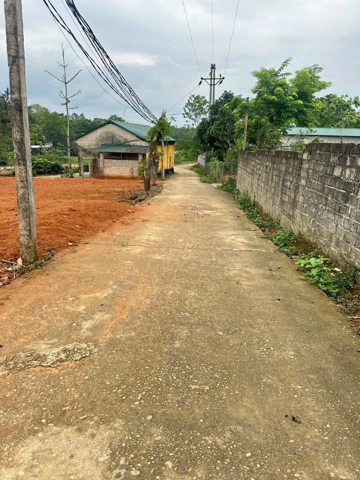 Đất nền Phong Châu 113m² giá chỉ 500 triệu - Sổ đỏ chính chủ!