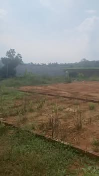 Đất nền Minh Đài, Tân Sơn 144.5m² - View đồi chè tuyệt đẹp!