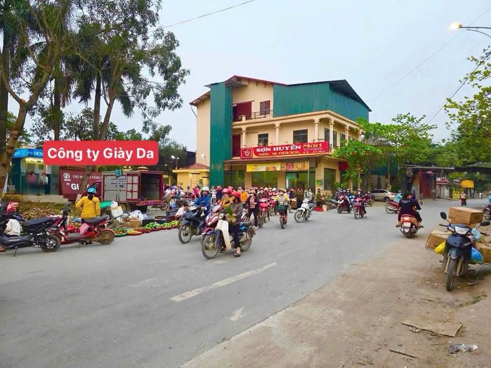 Đất mặt đường TL305, xã Hoàng Lâu, huyện Tam Dương 100m² giá 3.5 tỷ - Vị trí kinh doanh đắc địa!