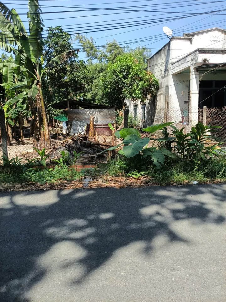 Đất thổ cư 120m² tại ấp Kinh Tế, Bình Minh - Cơ hội đầu tư tuyệt vời!