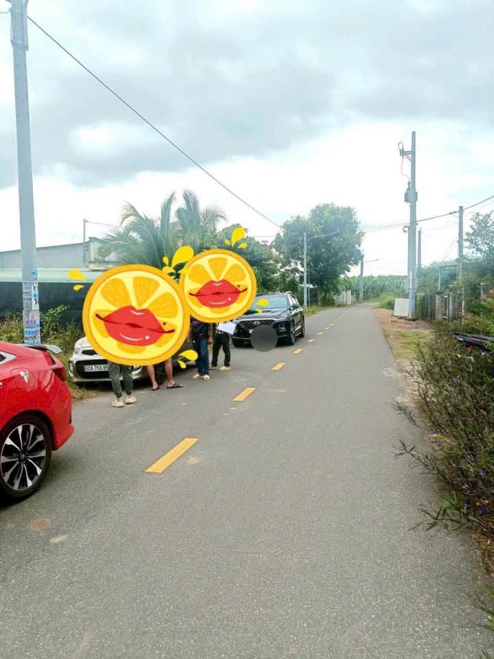 Nhà cấp 4 mặt tiền nhựa Láng Dài 208m² chỉ 1.1 tỷ - Cơ hội đầu tư tuyệt vời!