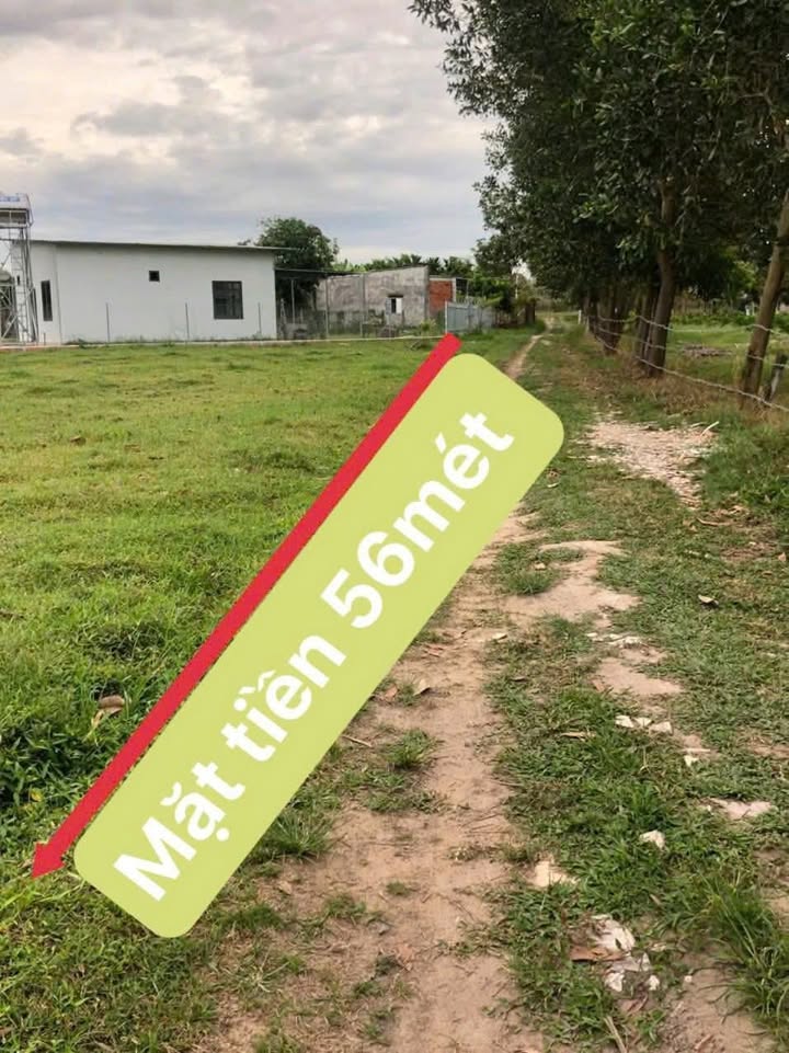 Đất Nền Ninh Phúc, Ninh Thạnh 14000m² giá 700 triệu - Cơ hội đầu tư hấp dẫn!