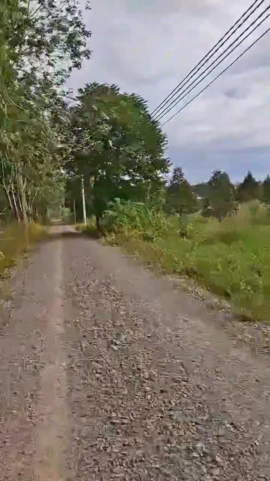 Đất mặt tiền Đường Đá Mi, xã Tân Hội, 200m² chỉ 269 triệu - Cơ hội đầu tư hấp dẫn!