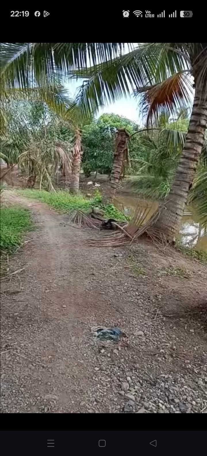 Đất vườn 500m² xã Long Định, giá 900 triệu - Thổ cư sẵn sàng!