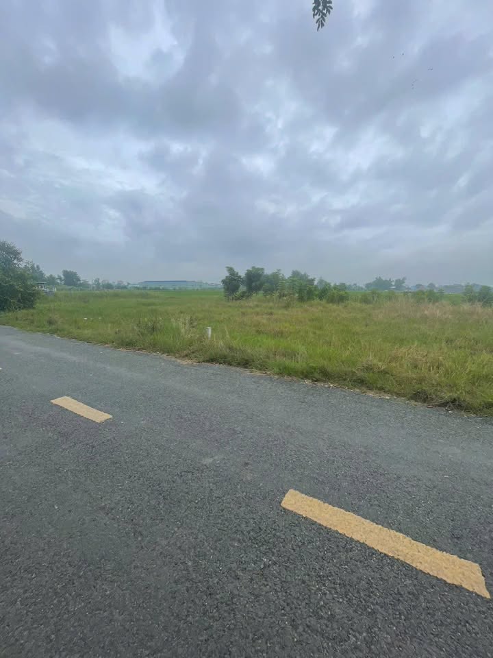 Đất thổ cư 244m² mặt tiền đường Thái Thị Thiêu, Cần Đước - Giá 2.07 tỷ, thương lượng ngay!